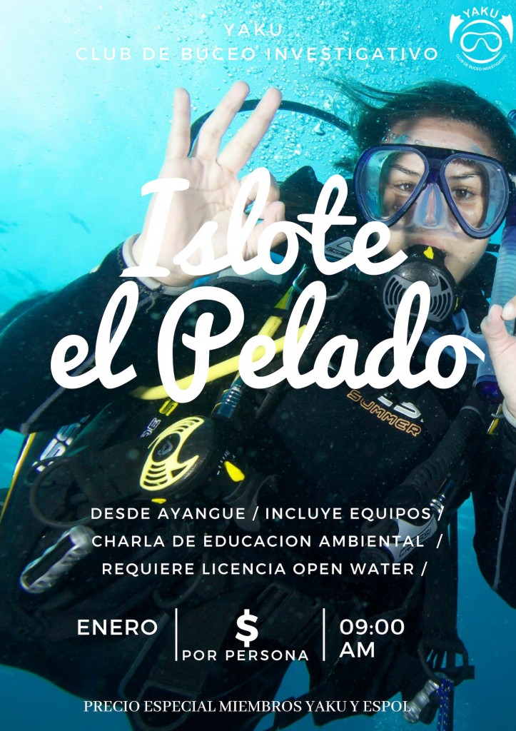 Salida de buceo